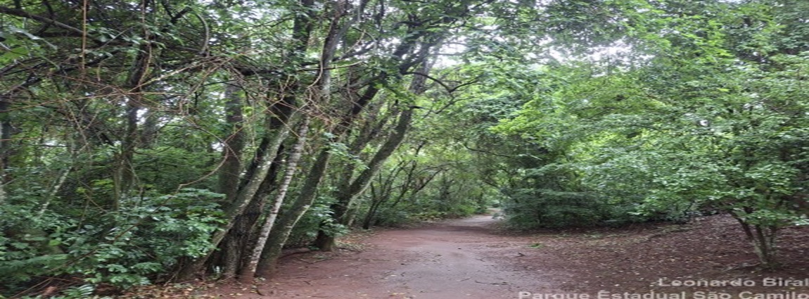 Parque Estadual de São Camilo